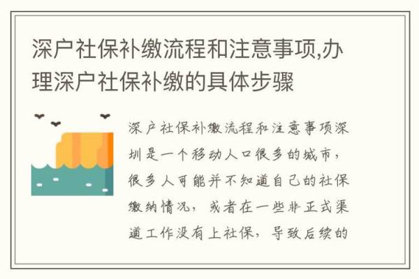 详解如何补交社保的步骤与注意事