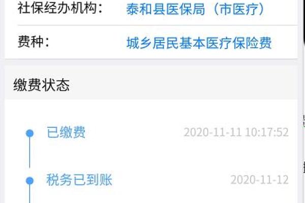 大学生医保缴纳指南：如何顺利完成交费流程