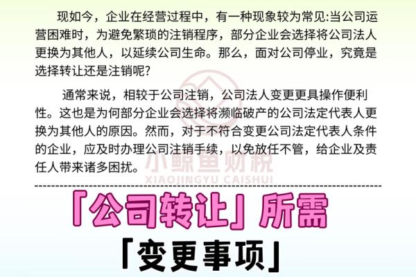 如何注销法人代表的相关流程与注